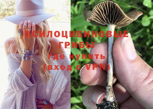 соль ск Богданович