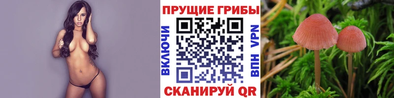 Псилоцибиновые грибы Magic Shrooms  Кореновск 